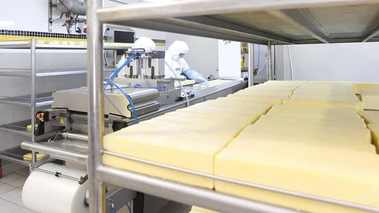 Gündoğdu Gıda, 3 milyar liralık tahsisli sermaye artırımı için süreci başlattı